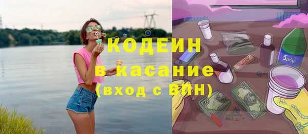 индика Нея