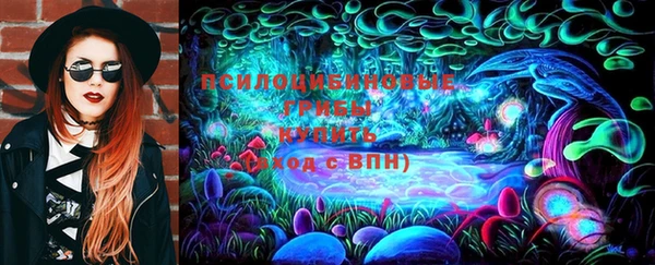дурь Алзамай