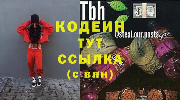 индика Нея