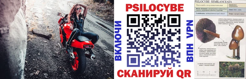 Псилоцибиновые грибы прущие грибы  Арамиль 